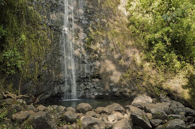 Self guided Hike Trail to Nature Walk & Waterfall - What this $79 half-day actually gives you