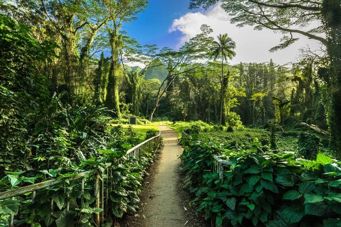 Self guided Hike Trail to Nature Walk & Waterfall - The waterfall, and the importance of timing