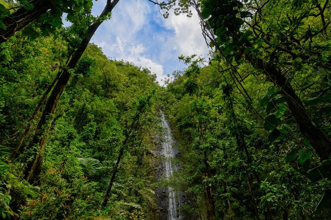 Self guided Hike Trail to Nature Walk & Waterfall - How difficult is the hike?