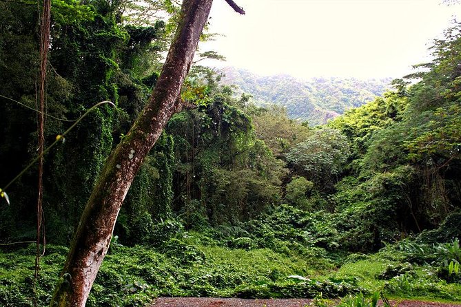 Self guided Hike Trail to Nature Walk & Waterfall - Who should book this outing?