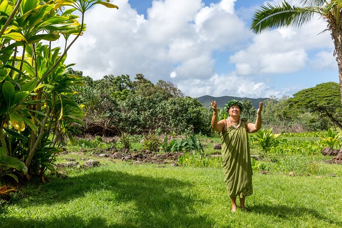 Semi Private Honolulu Historical Tour - Hawaiian Mission Houses and Honolulu in 1820