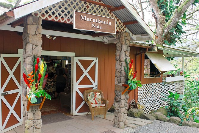 Sights & Bites Ultimate Oahu Circle Island Foodie Tour - Mokoli‘i Island and the windward side