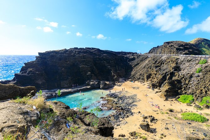 Sights & Bites Ultimate Oahu Circle Island Foodie Tour - Pua‘ena Point and the chance to see turtles
