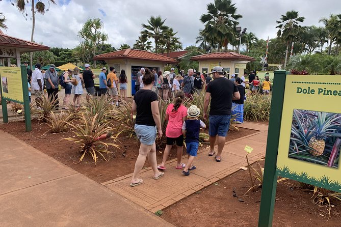 Small Group-Oahu Tour, Dole Plantation, Northshore, Sunset Beach - Is $199 a fair price?