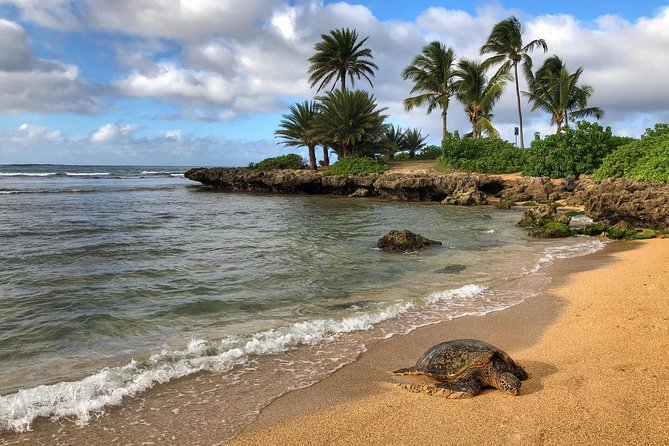 Sunrise Plus Island Tour - Across Oahu and toward the North Shore