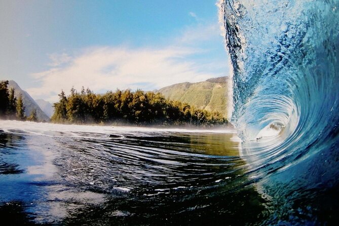 "The Dole Plantation" & "North Shore" Private Limousine VIP Tour! - What the $899 price really buys