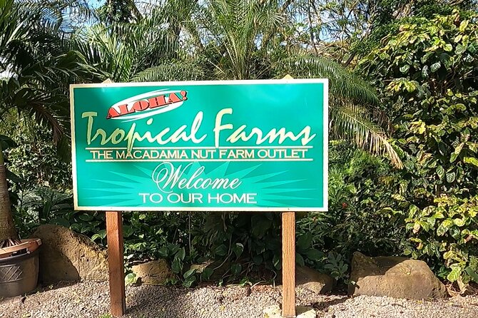 Tour of North Shore & Waimea Waterfall - Dole Plantation, then the Nu’uanu Pali lookout