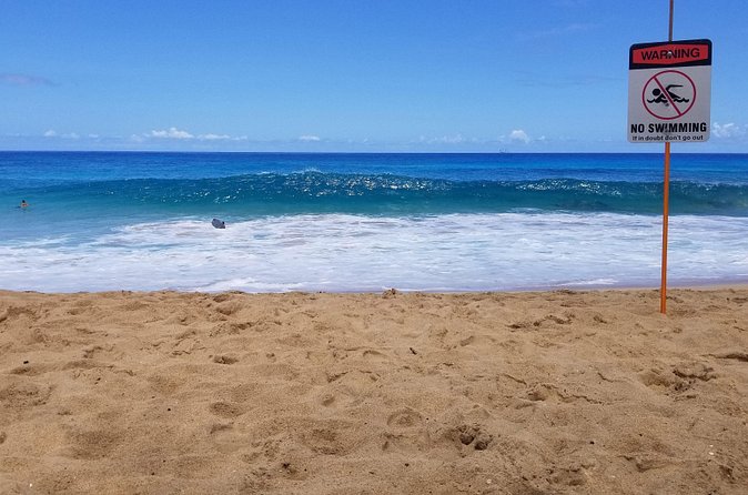 Transportation to North Shore - Local Advice Can Shape the Day