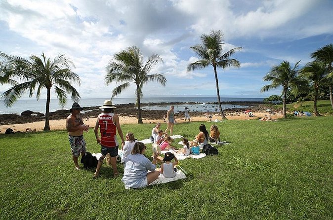 Transportation to North Shore - Who Should Book This North Shore Ride?