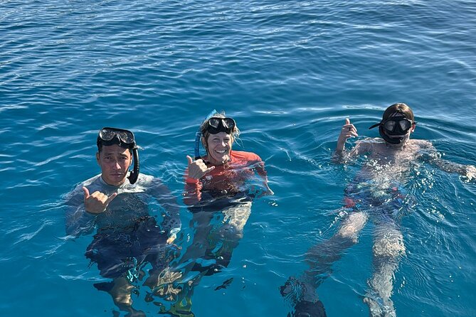 Turtle Canyon Snorkel Tour - Semi-private: 6 passenger max - Key points to know before booking