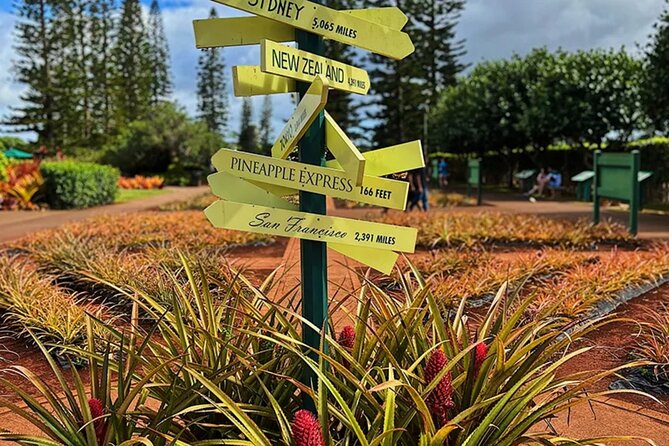 Ultimate North Shore Adventure: Full-Day Hawaiian Experience - Waimea Valley is the main nature stop
