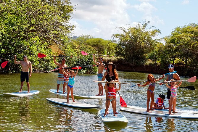 Ultimate North Shore Adventure: Full-Day Hawaiian Experience - Dole Plantation adds pineapple history