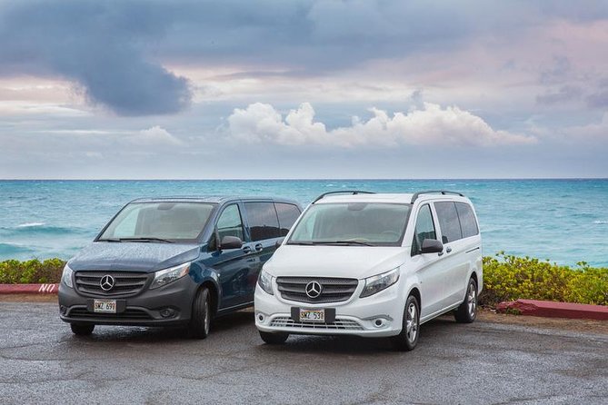 VIP Aloha Style Private Island Tour - Dole Plantation and the long view north