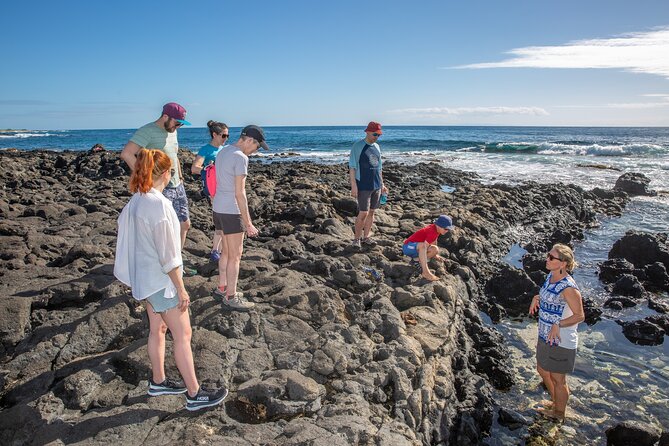 VIP Aloha Style Private Island Tour - Halona Blowhole and Sandy Beach