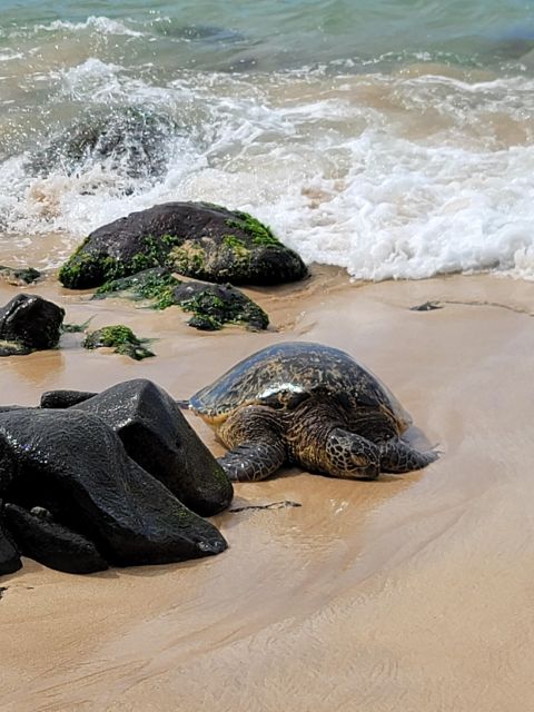Waikiki: Oahu In a Day Circle Island Tour - The return through Honolulu completes the picture