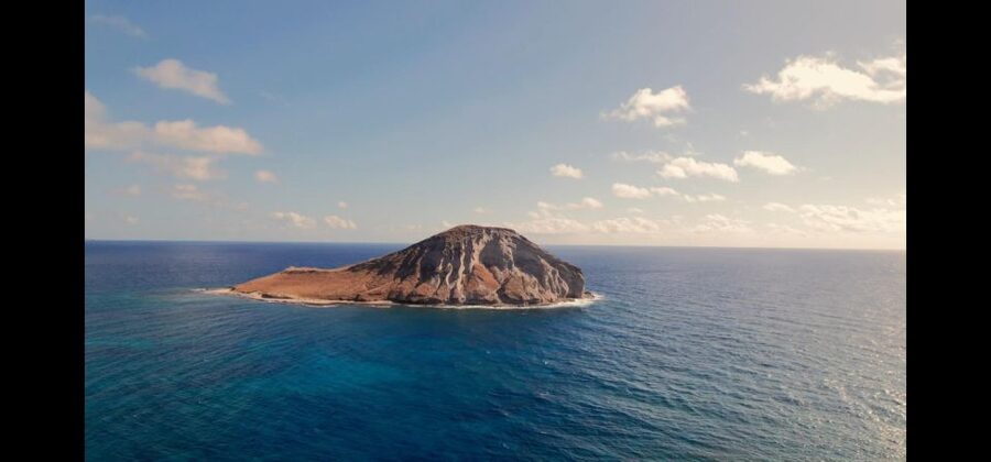 Waikiki: Oahu In a Day Circle Island Tour - Lunch on the North Shore is flexible