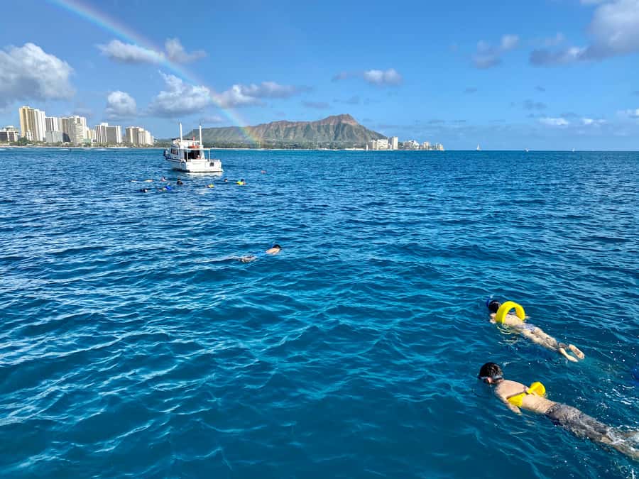 Waikiki: Sea Turtle Snorkeling, Small Group Boat Tour - Drinks, Seating, and the Ride Home