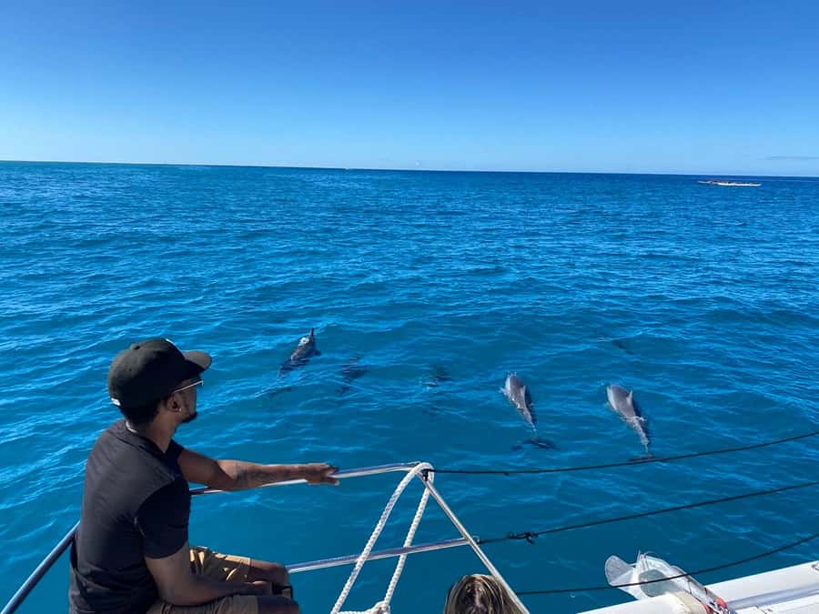 Waikiki: Sea Turtle Snorkeling, Small Group Boat Tour - Who Should Book This Waikiki Snorkel Trip