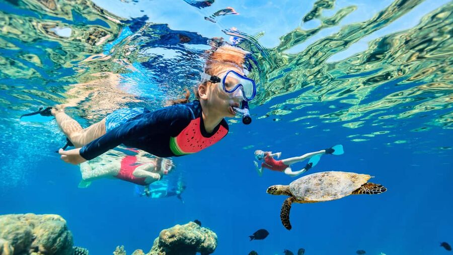 Waikiki: Snorkeling & Ocean Playground Experience - What This Two-Hour Waikiki Boat Trip Is Really Like