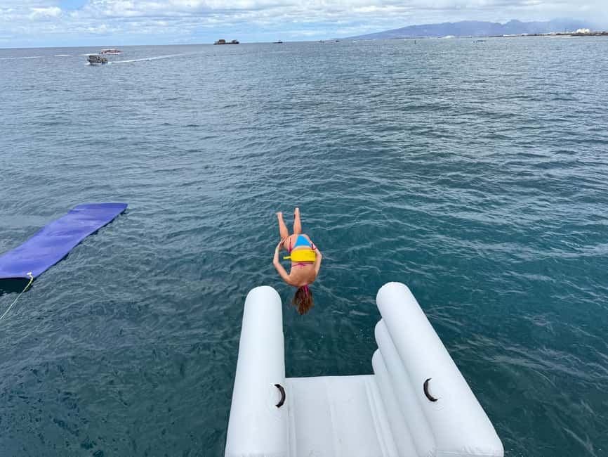 Waikiki: Snorkeling & Ocean Playground Experience - Snorkeling for Fish and Possible Sea Turtles