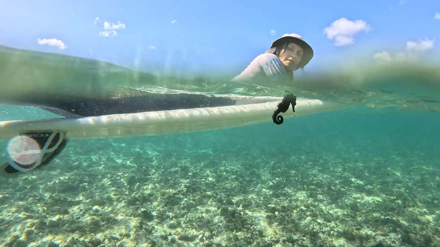 Waikiki: Surf Lessons Easy 60 min classes no crowds! - Meeting the surf bus at Ala Wai Boat Harbor