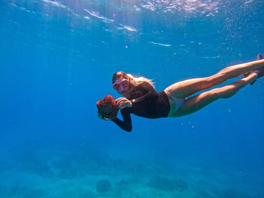 Waikiki: Turtle Canyon Snorkel Tour with Small Group - Key points to know before booking
