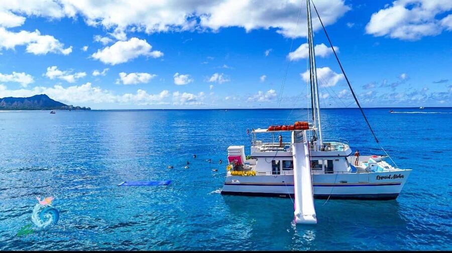 Waikiki Turtle Snorkel Adventure - Key points to know before you book