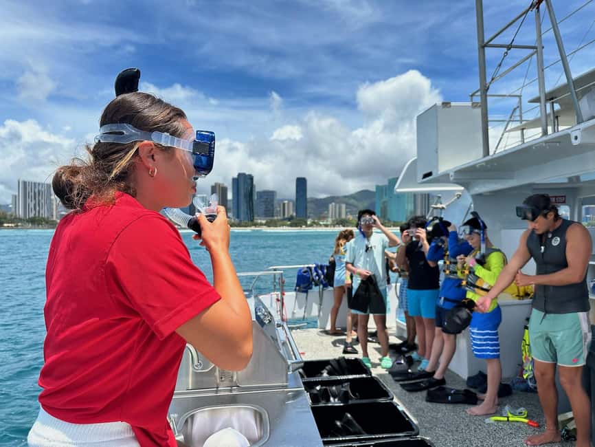 Waikiki Turtle Snorkel Adventure - Choosing between Turtle Town, Rainbow Reef, and Turtle Canyon
