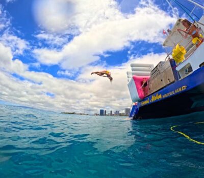 Waikiki Turtle Snorkel Adventure