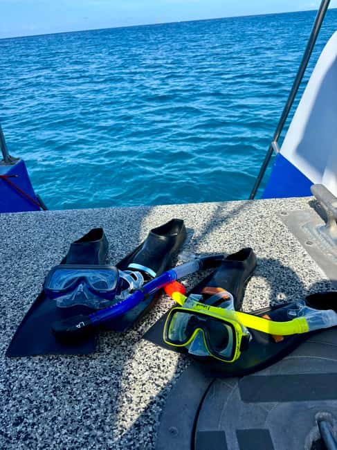 Waikiki Turtle Snorkel Adventure - Snacks, drinks, shade, and space between swims