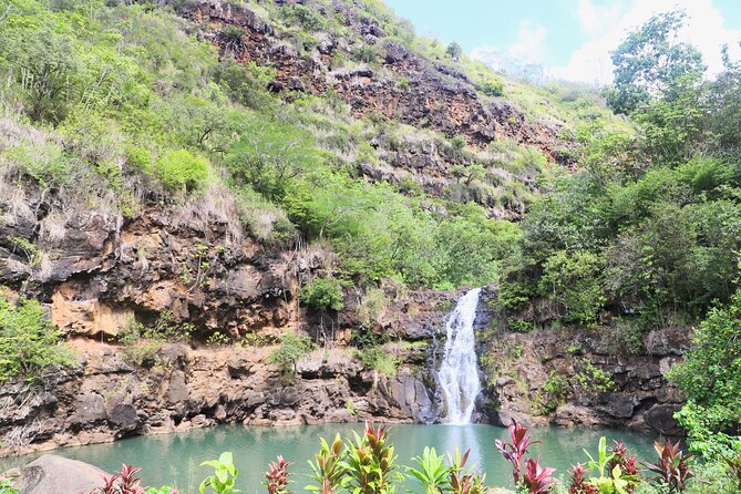 Waimea Valley Waterfall Swim & Dole Plantation Tour with Lunch - Dole Plantation is a short final stop