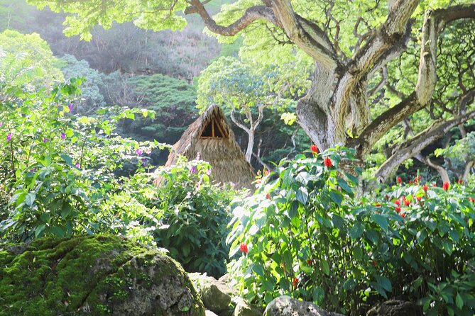 Waimea Valley Waterfall Swim & Dole Plantation Tour with Lunch - Transportation, timing, and group size