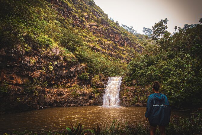 Waterfall Hike in Hawai'i Rainforest Trail - What the guides add to the experience