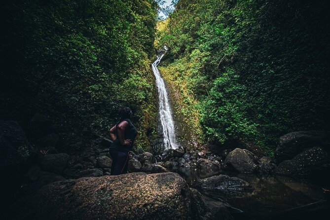 Waterfall Hike in Hawai'i Rainforest Trail - Who should book this rainforest hike?