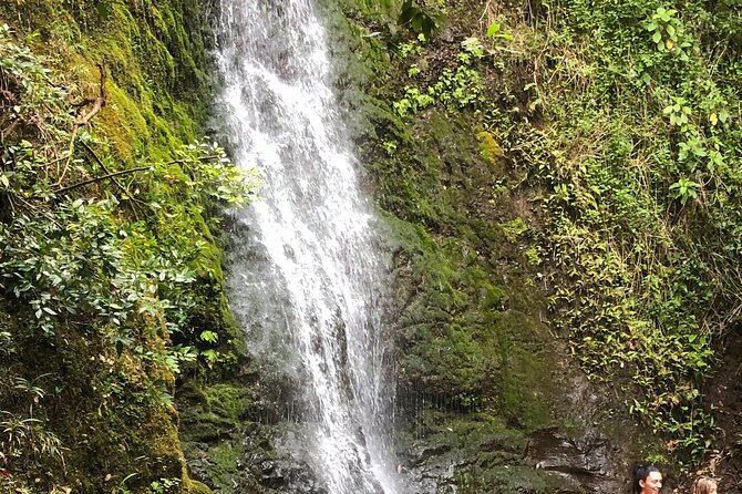 Waterfall Hike , Sightseeing & East Side Beach Day - Key points to know before booking