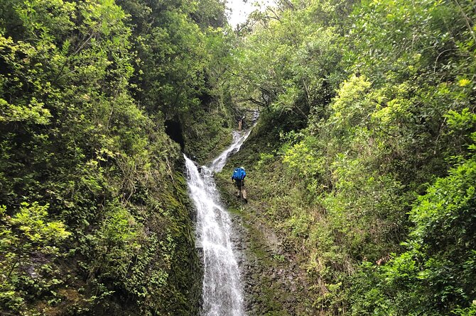 Waterfall Hike , Sightseeing & East Side Beach Day - Why this Oahu combination works