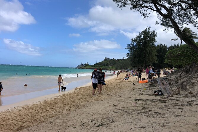 Waterfall Hike , Sightseeing & East Side Beach Day - What the rainforest portion feels like