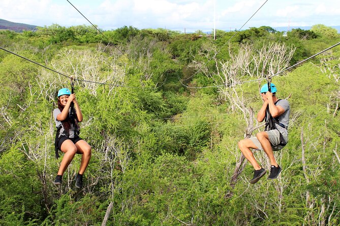 Zip & Dip: Zipline and Wet 'n' Wild Waterpark Combo - Is $176.03 a fair price?