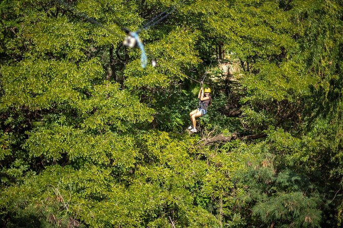 Zip & Dip: Zipline and Wet 'n' Wild Waterpark Combo - Booking, weather, and cancellation details